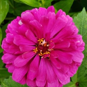 👕 Welcome to your future closet 👖